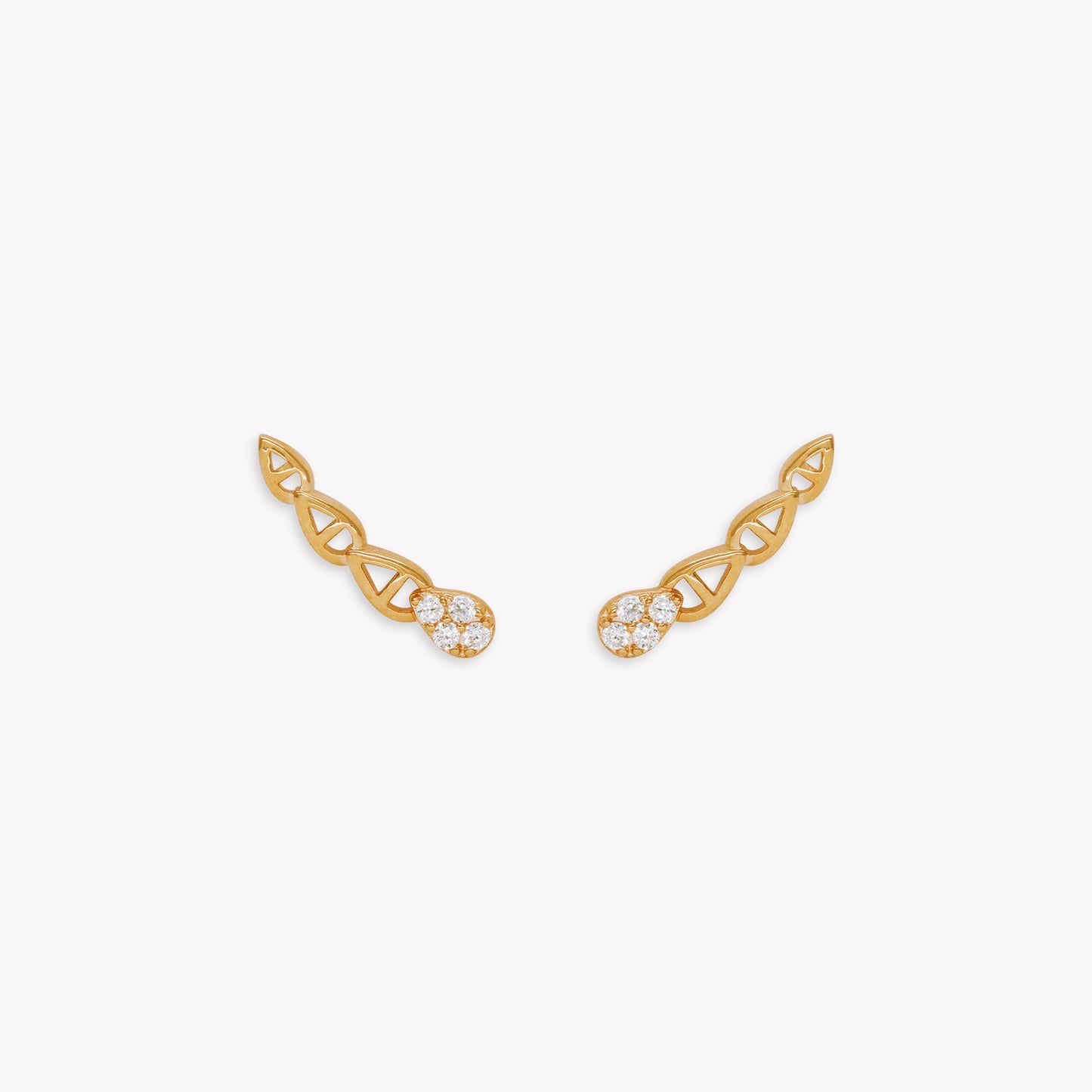Lacerta Ear Climber